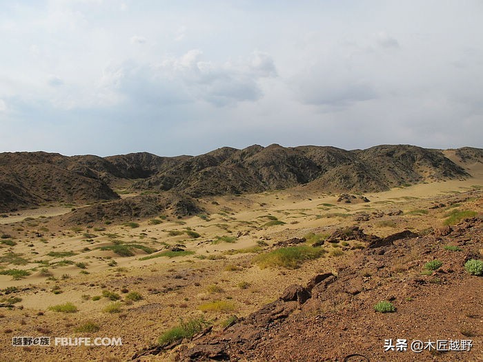 当木工学徒,当木匠的故事