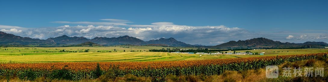 千村示范万村行动调研报告,百城千县万村调研点