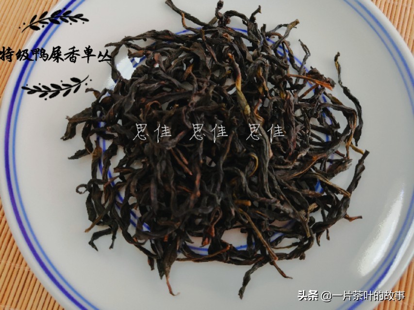 岭头单枞与凤凰单枞区别,大红袍和凤凰单枞的区别