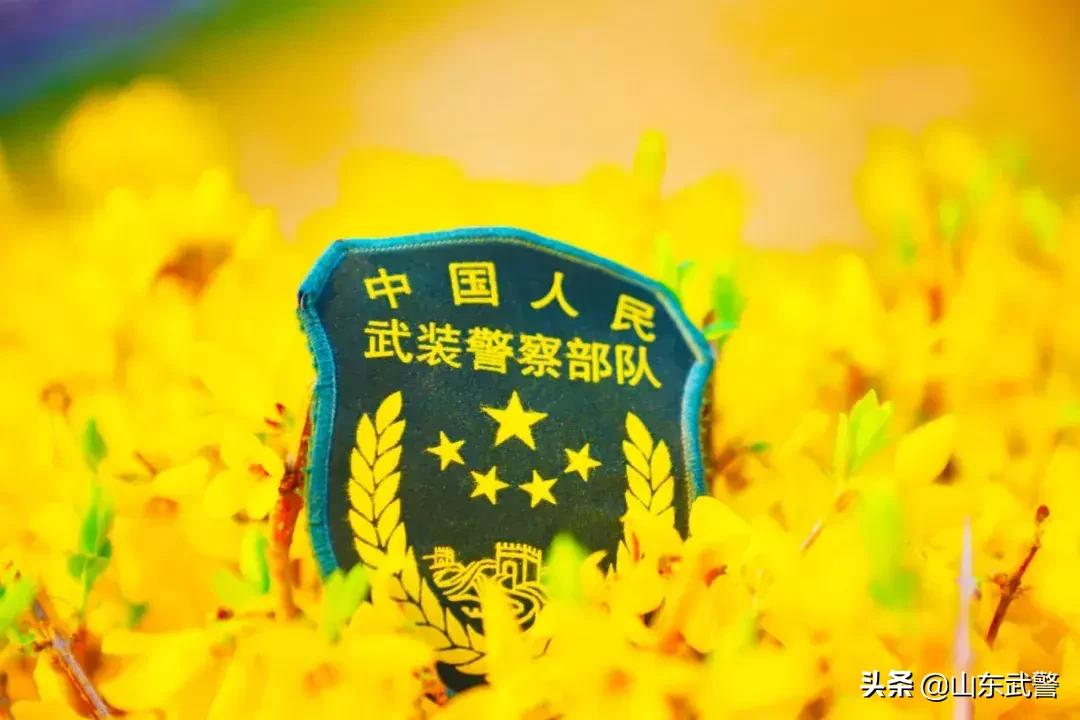 在军营的日子里,在军营里挥洒青春和汗水