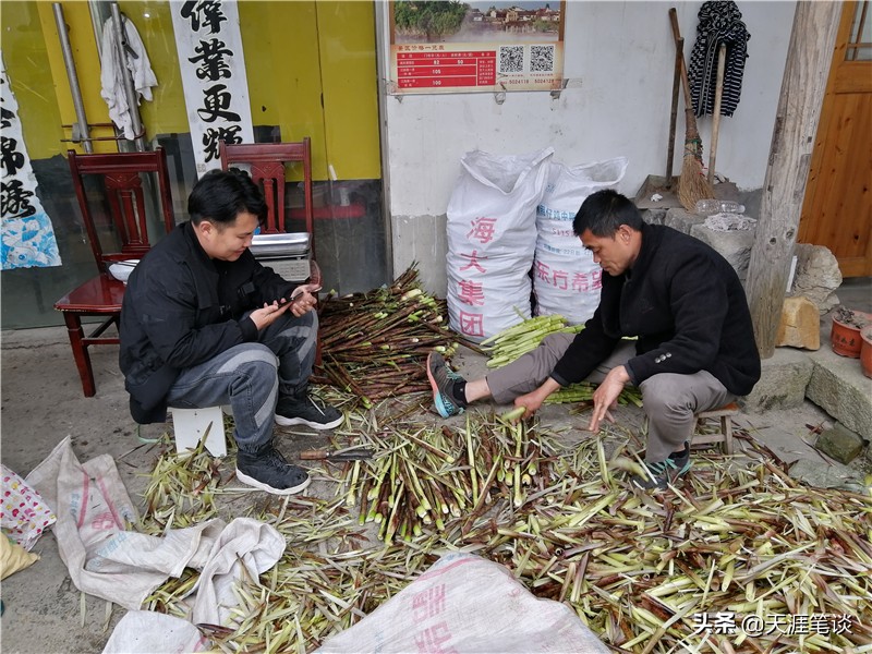 走进查济,查济古镇门票32元