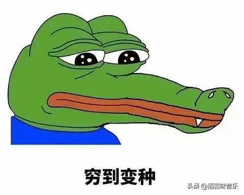 学弦乐的崩溃瞬间,学乐器的十大忠告