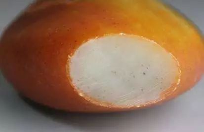 颤抖吧凡人全文,颤抖吧凡人的视频