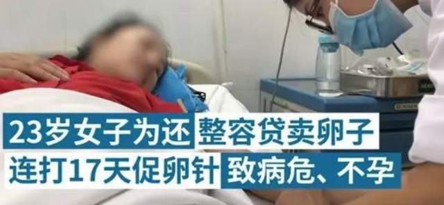 一颗卵子值100,卵子捐卵