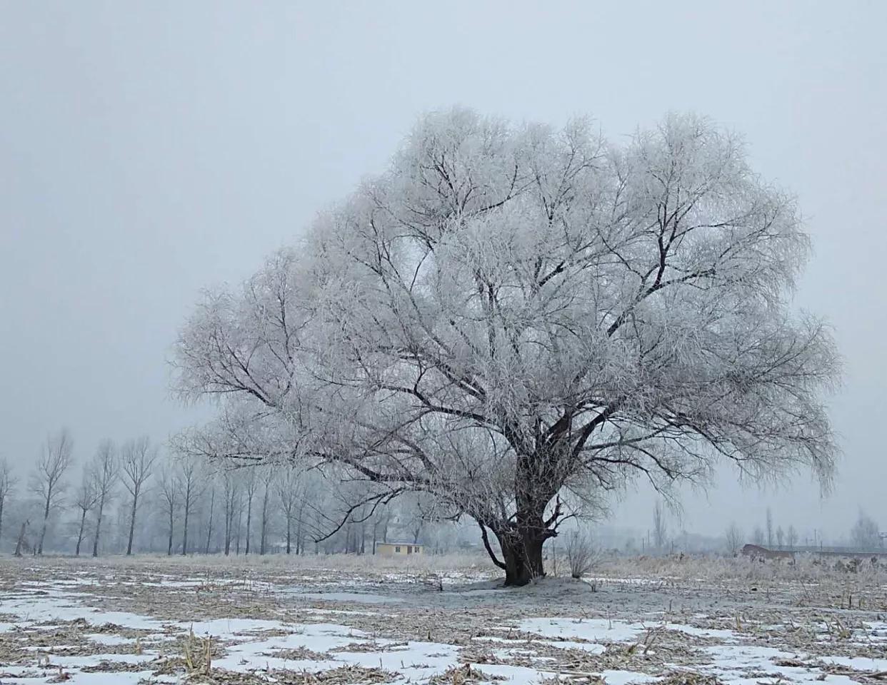 手拍世界,手拍世界近期作品