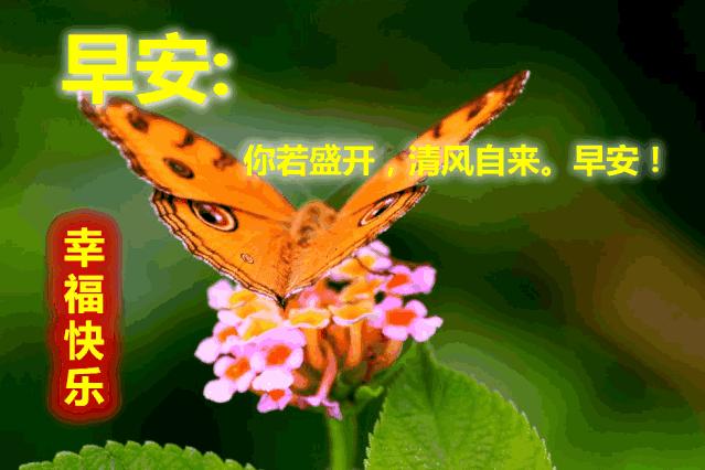 微信特好看早上好问候语表情图片,早上好微信问候语大全带表情包