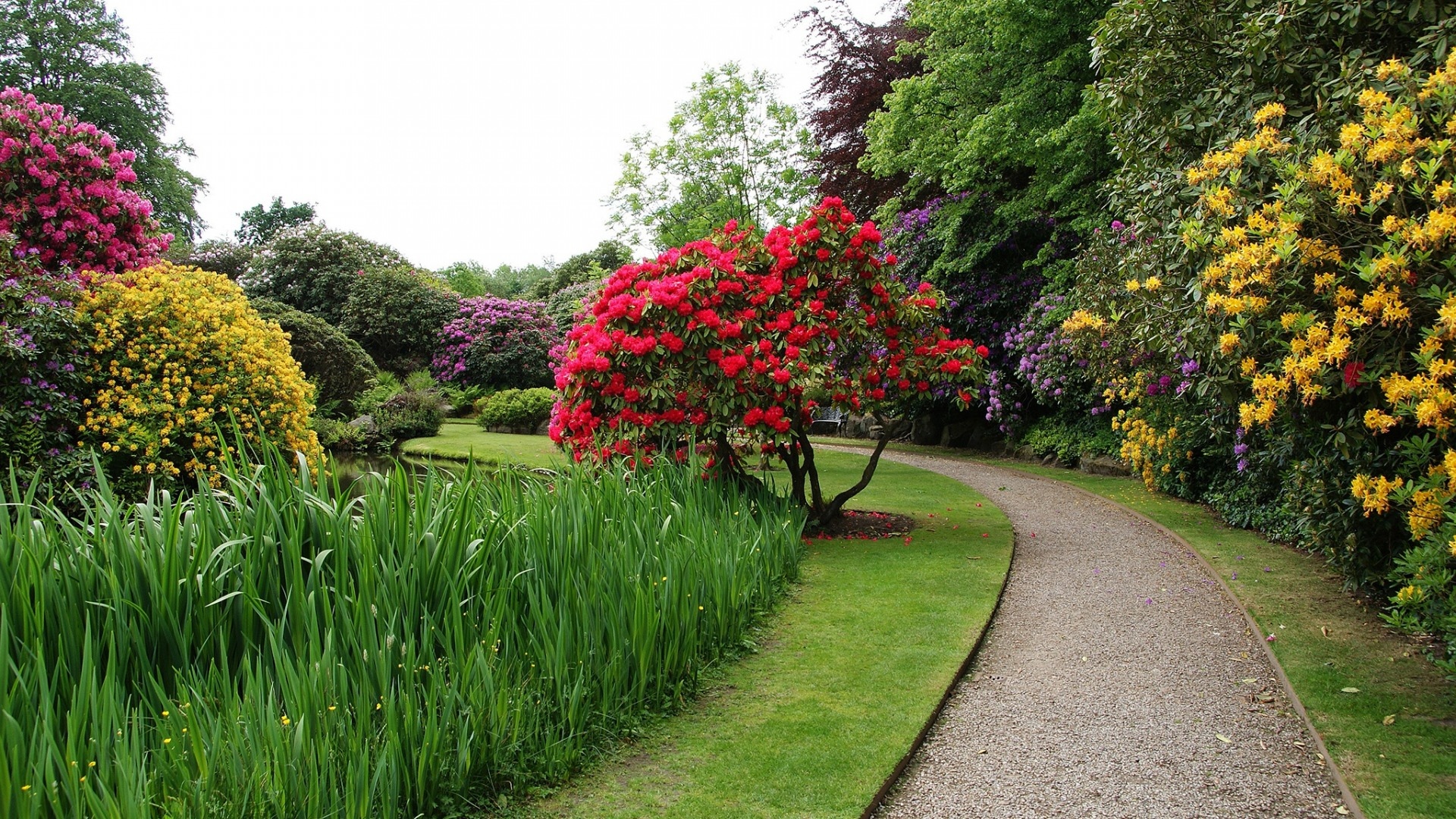 唯美大气养眼山水风景手机壁纸,唯美二次元风景手机壁纸高清
