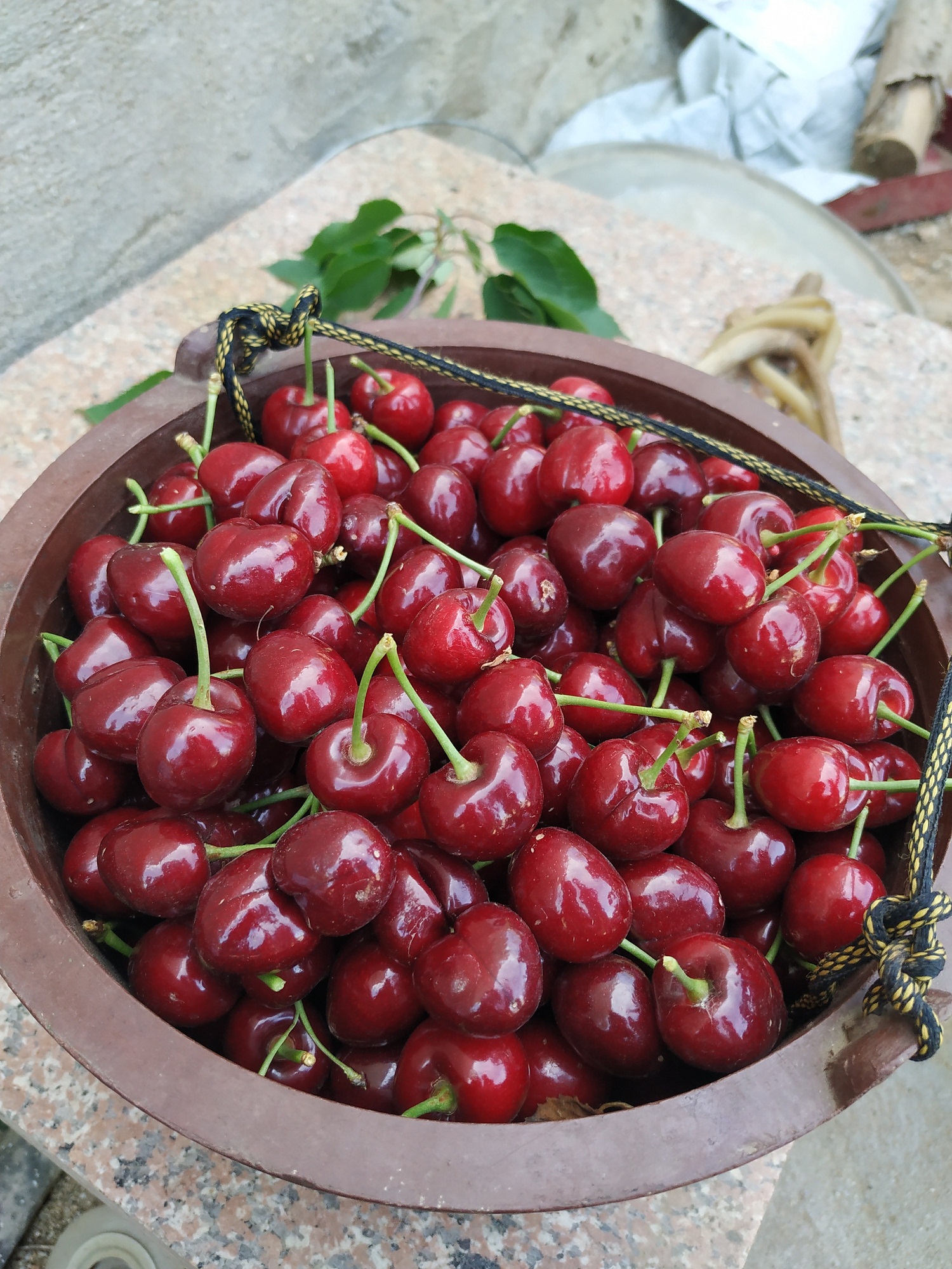 专治樱桃树流胶高效药,樱桃树涂干肥可以治流胶吗
