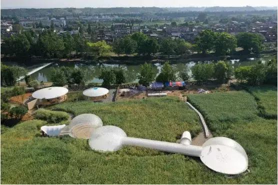 公园项目的正确玩法,公园玩法攻略