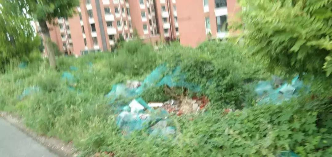 即墨伴山蓝庭一梯一户吗,即墨伴山蓝庭顶楼带阁楼