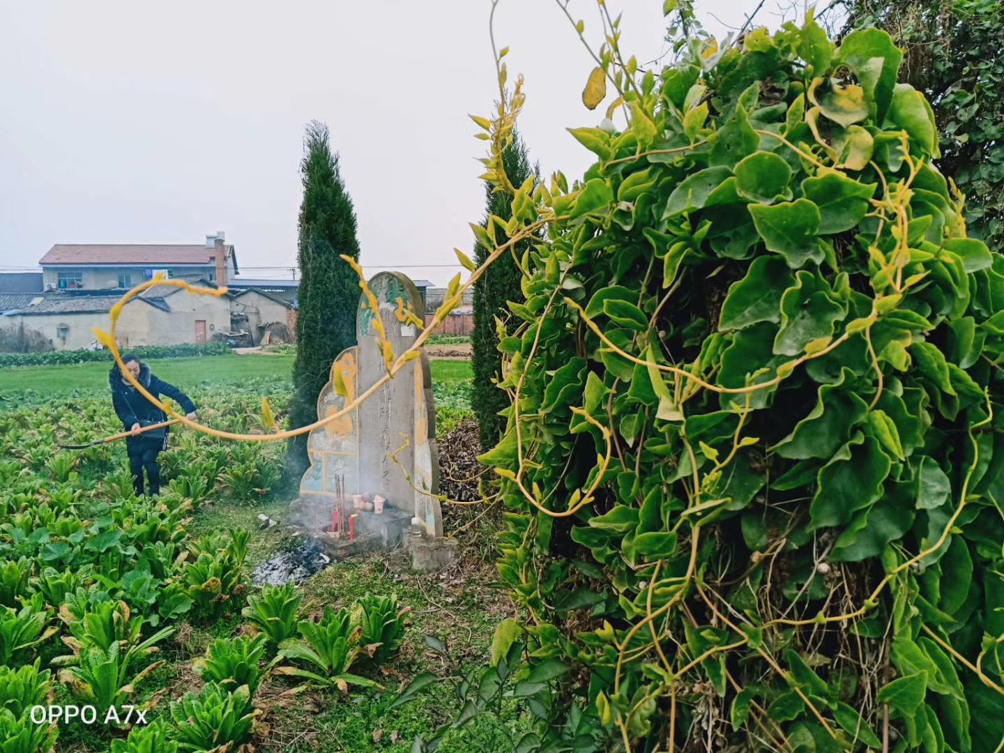 缅怀周爷爷的视频,周元邠是哪里人