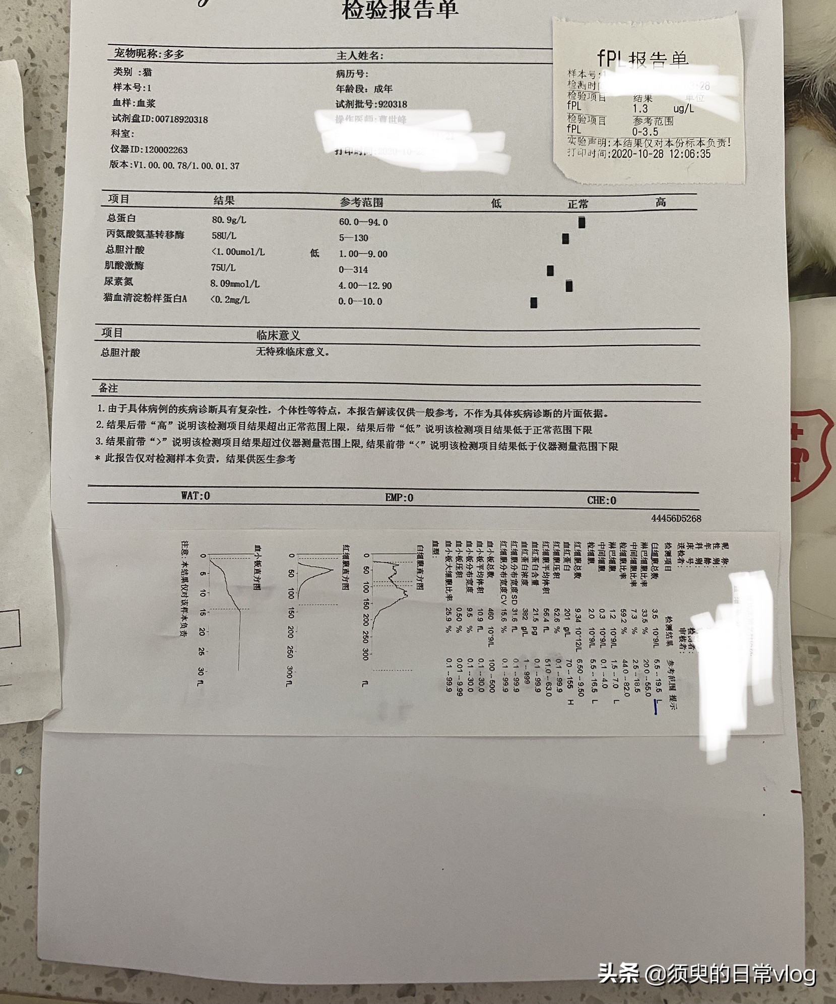 猫瘟救助过程全记录，献给需要帮助的猫奴们