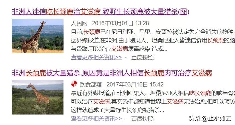 吃长颈鹿治艾滋病?为保护谣言下的生命他们建了家世界唯一的酒店