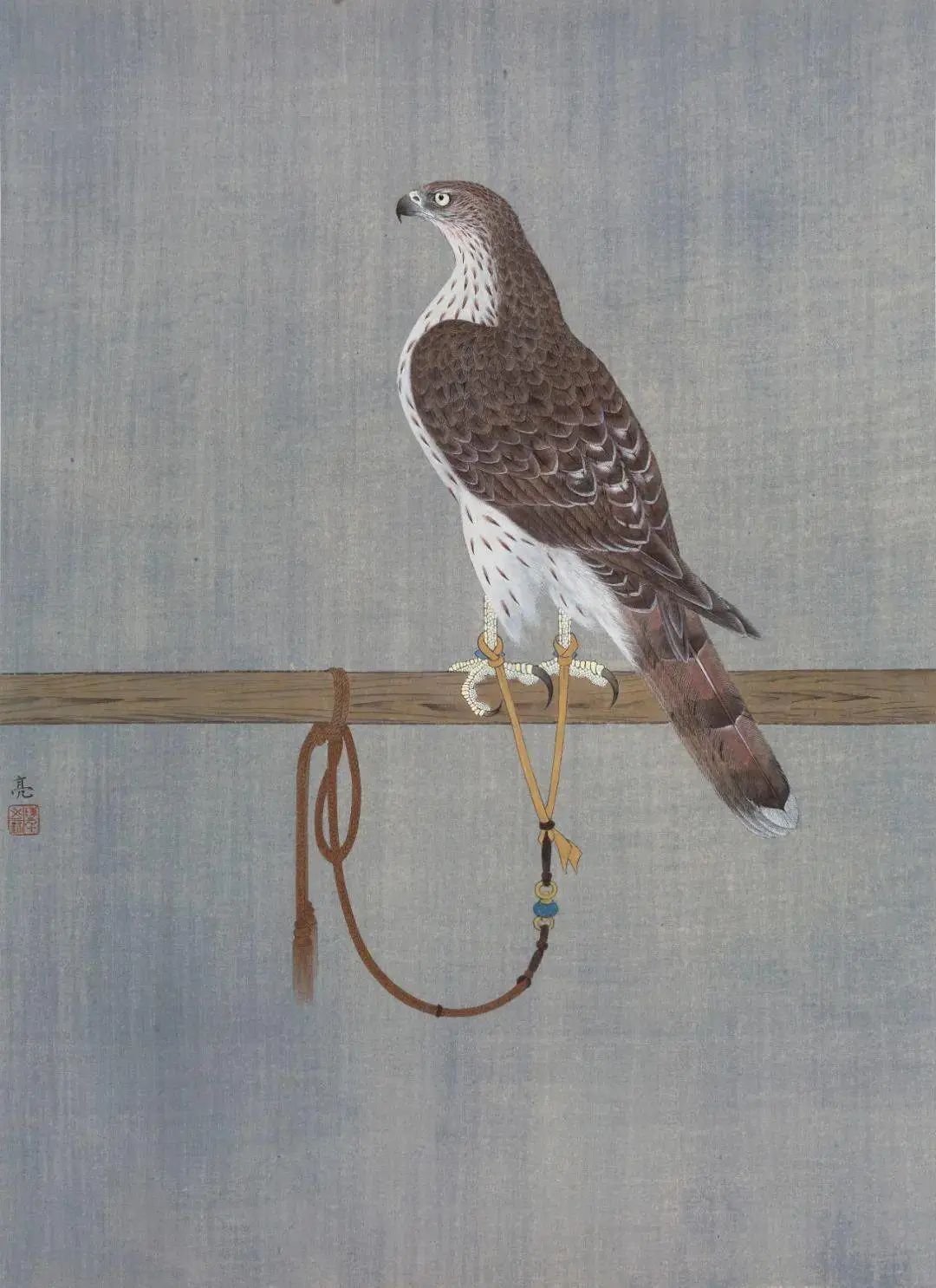 他画的鹰,严谨工致,萧疏威严