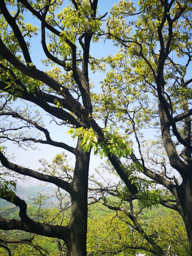 孙悟空的旅游胜地在什么地方,孙悟空的老家花果山水帘洞