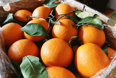 顺义区年货节日福利,顺义区年货节日福利值得购买吗