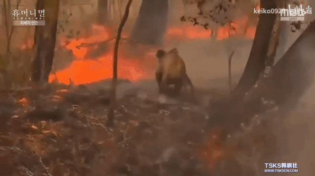 15岁怀孕的她，被骗吃下*药炸**，无辜去世：生而为人，有些人却不配