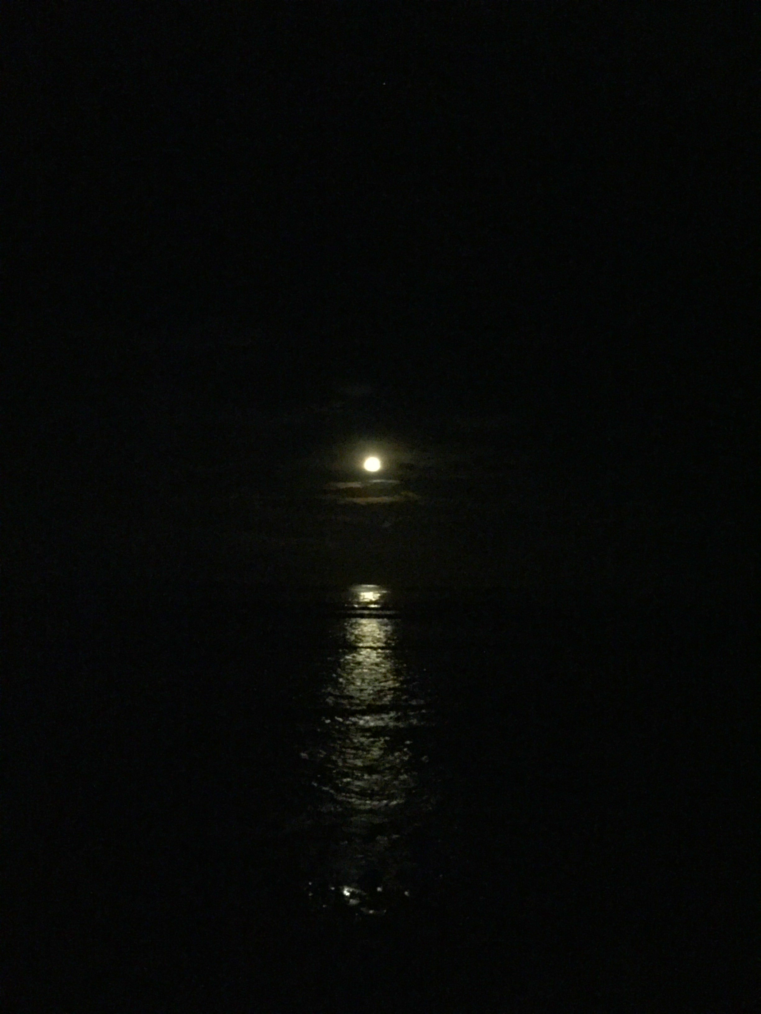 马尔代夫游玩攻略跟团,马尔代夫thinadhoo上岛费用多少