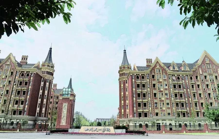 康复治疗技术专升本四川哪些学校,四川康复治疗技术专业哪个学校好