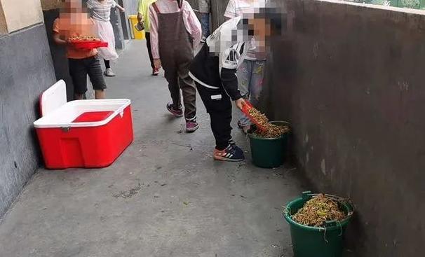 【三国部落】学生倒掉学校营养餐？避免浪费需“对胃”又“对味”