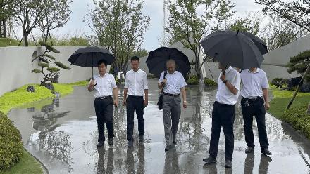 新区新建公园规划,主城区公园