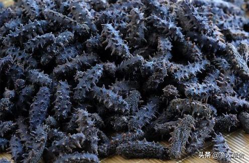 辽宁大连有什么土特产品,大连特产农产品标志