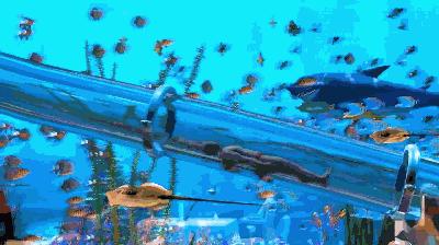 解密深坑酒店,深坑酒店详细介绍