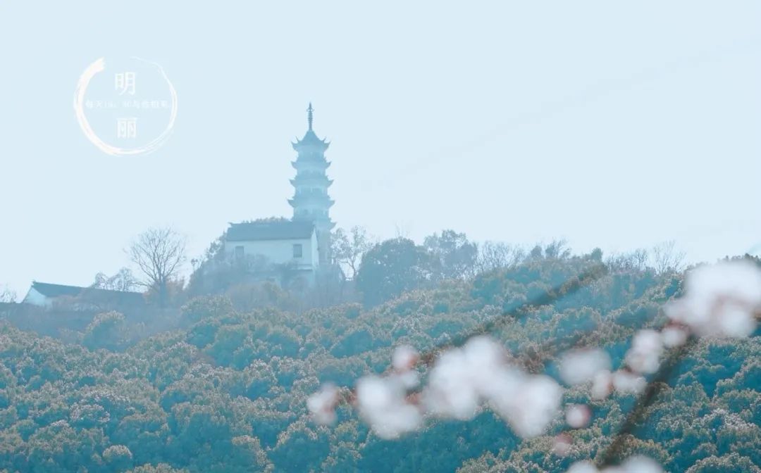 老婆跟父母关系不好要离婚怎么办,媳妇和父母不相往来有必要离婚吗