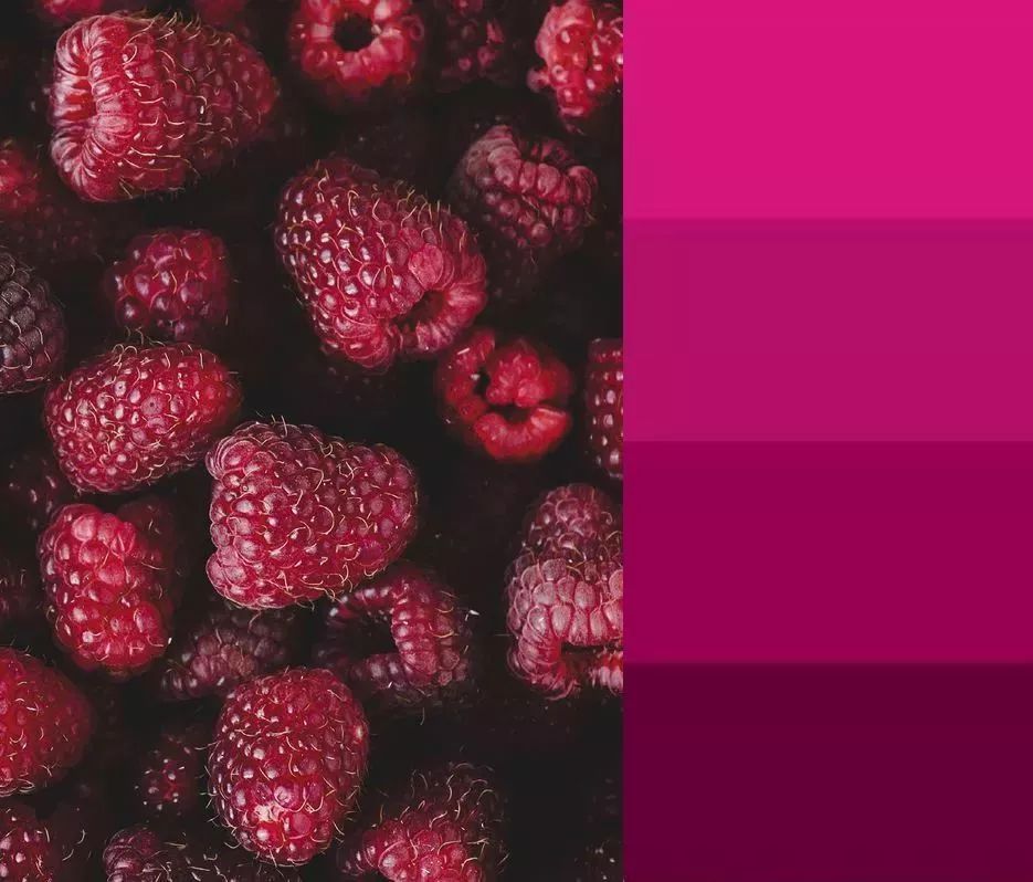 秋冬气质显白又高级的口红,兰蔻黄皮显白口红秋冬