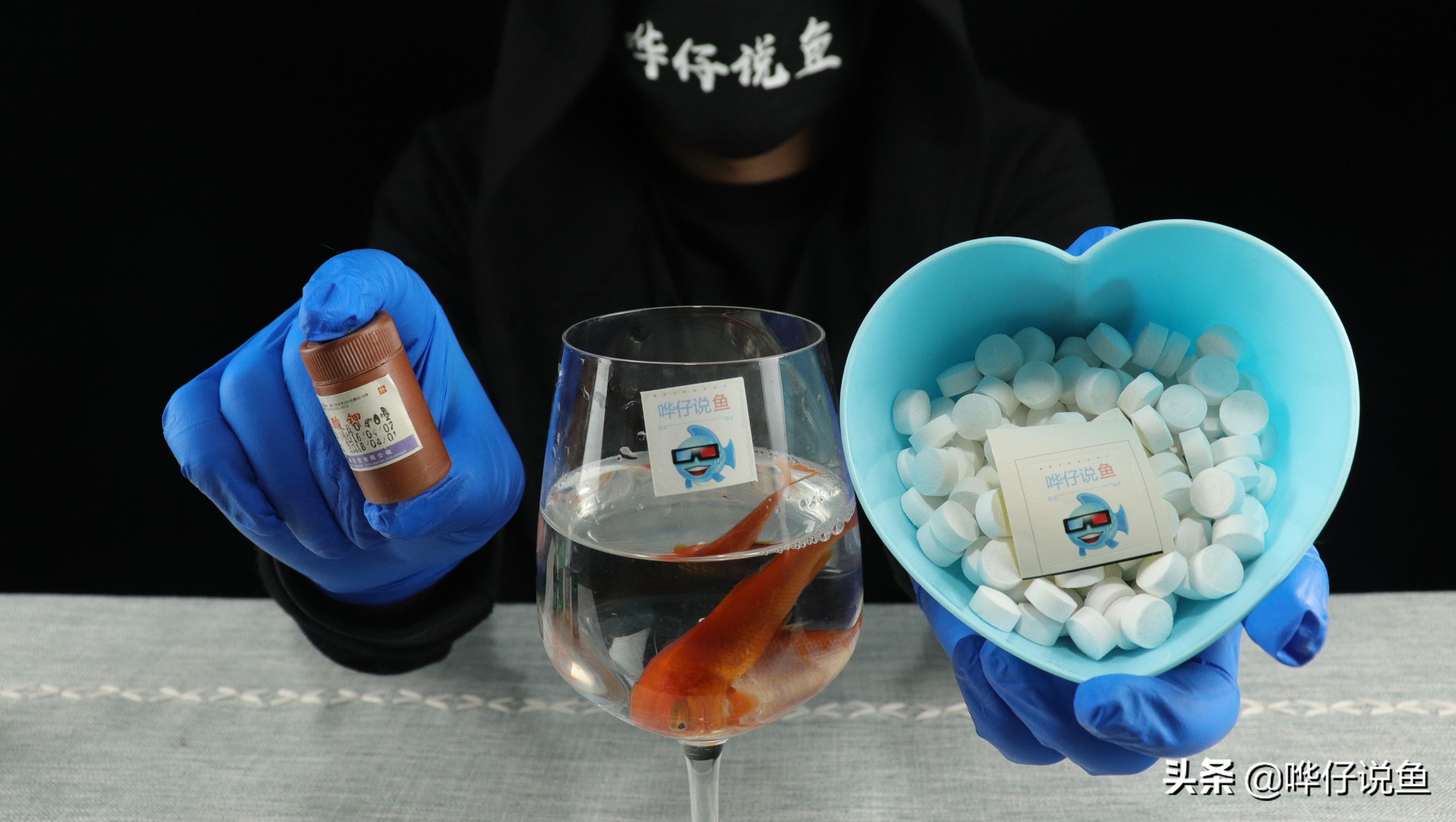 鱼缸消毒的方法和注意事项,怎样给鱼缸消毒最好最干净