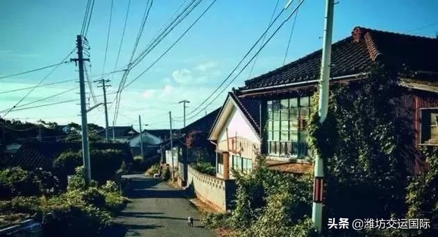 在日本打工的这些年,我来日本打工3年的真实经历