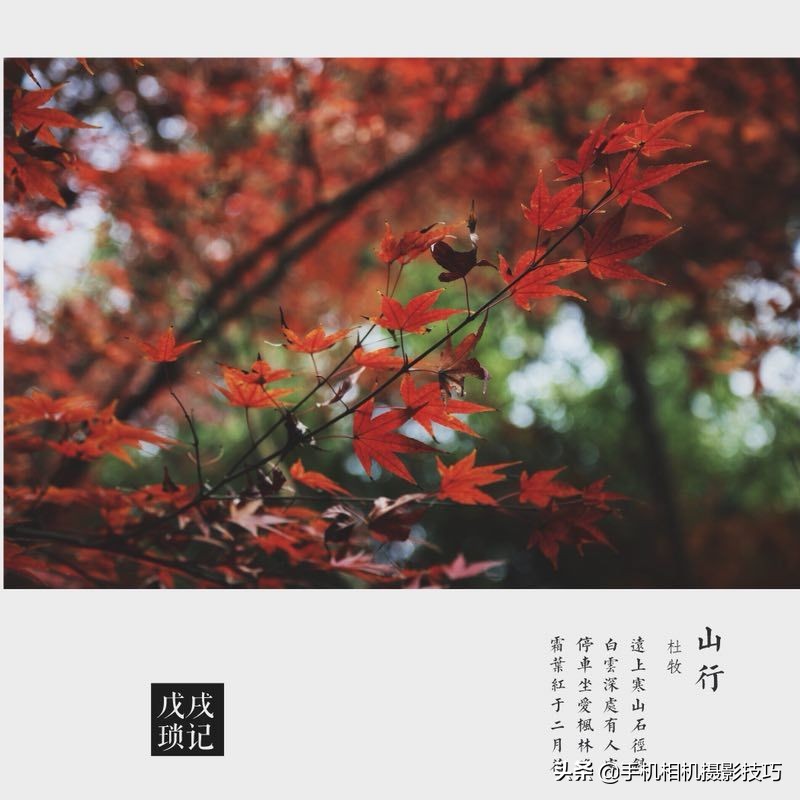 给照片加上水印用什么软件,怎么给照片加水印手机版