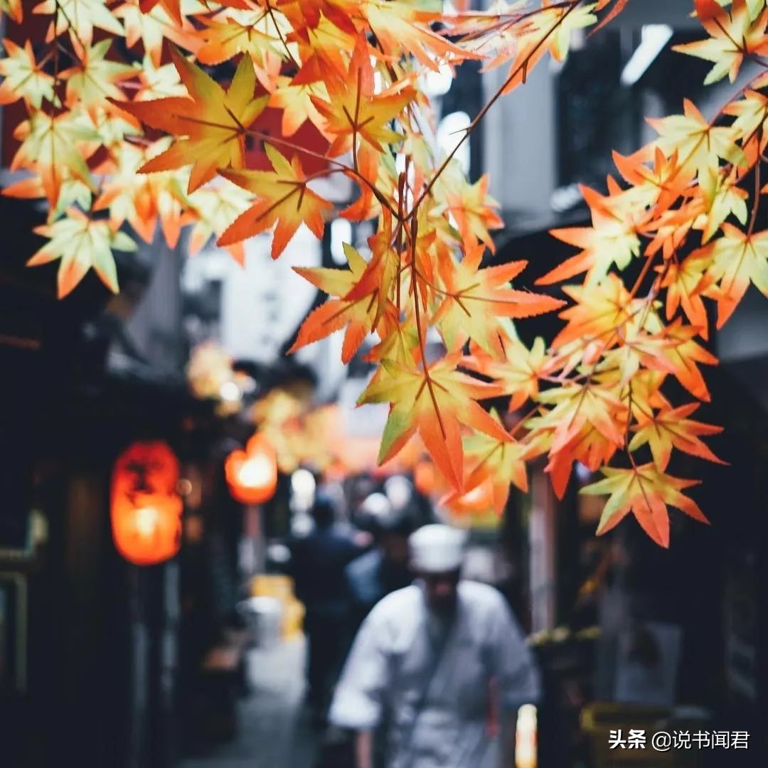 日本摄影师rk镜头下的中国,日本摄影师镜头下的夜晚公园