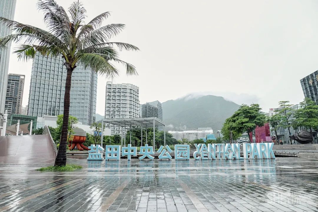 深圳30个经典片区,深圳这座城市承载了太多回忆