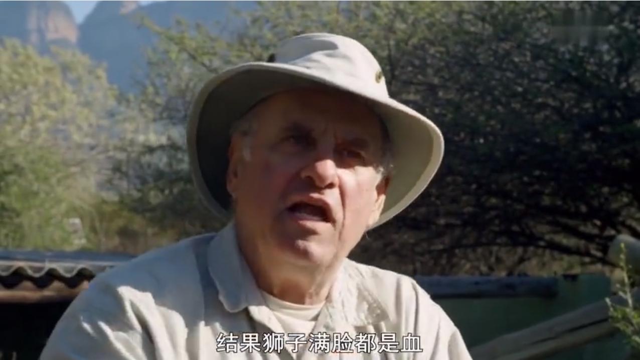 蜜獾为何如此凶猛,蜜獾那么凶猛真实的战斗力咋样