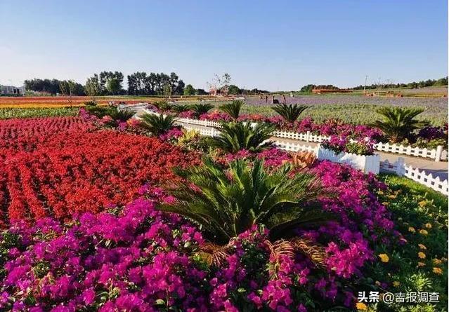 长春风景美的地方,长春最美的十大景点