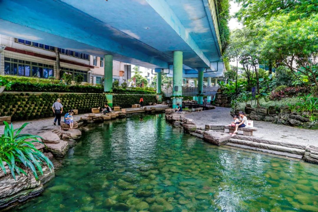 广州的河涌为什么那么脏,广州河涌的源头