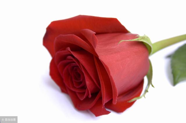 哲理小故事及感悟,40个哲理小故事500字