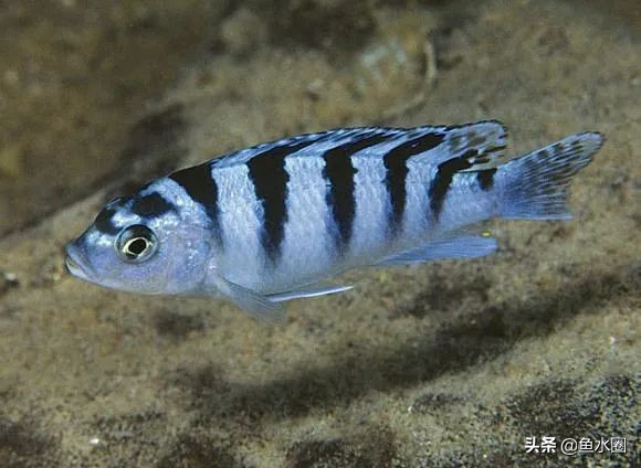 新手入坑教程原神,新手入坑有什么注意事项