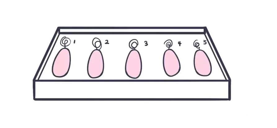 产后修复哑铃是修复什么的,产后为什么哑铃总是掉出来