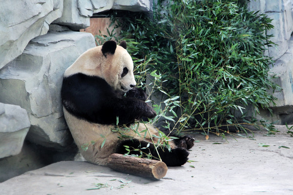 春游江淮请你来滁州版,春游江淮等您来