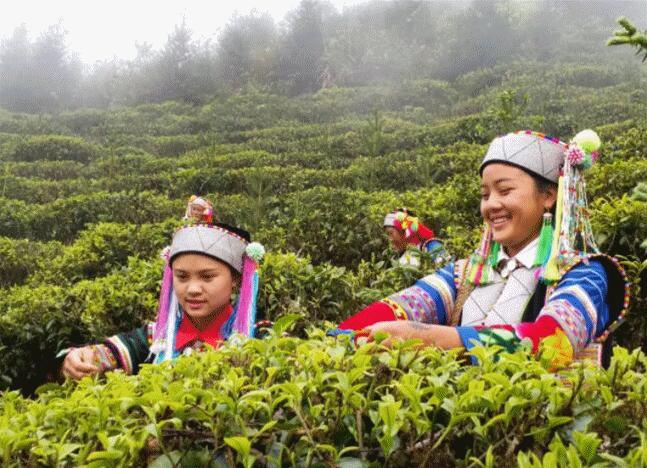 红河州发起脱贫攻坚总攻战,红河州决战决胜脱贫攻坚