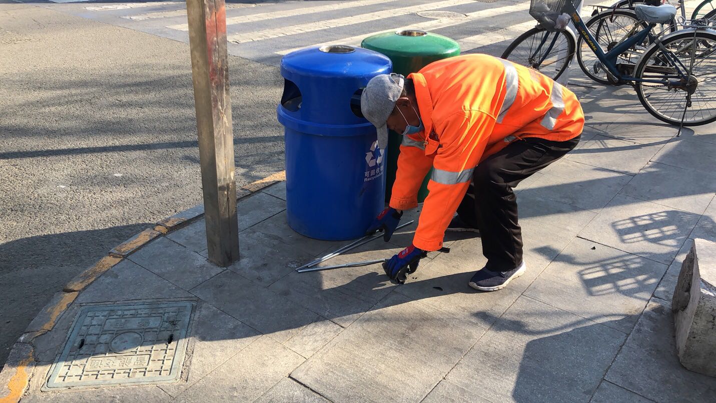 “城市黄玫瑰绽放新英姿”