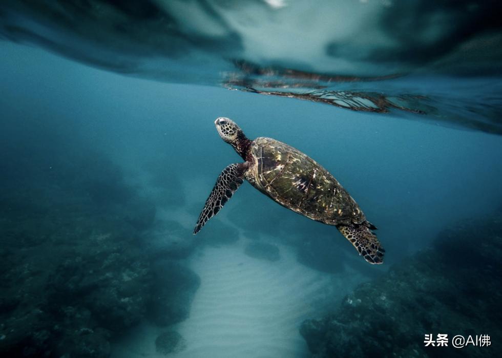 世界上最奇怪的海洋图片,世界各地的海洋照片