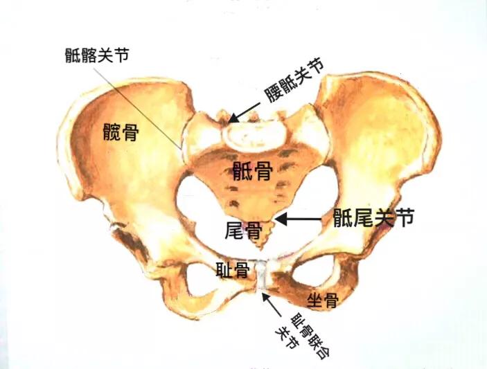 产后臀肥大怎么瘦,产后屁股变大怎么瘦下来