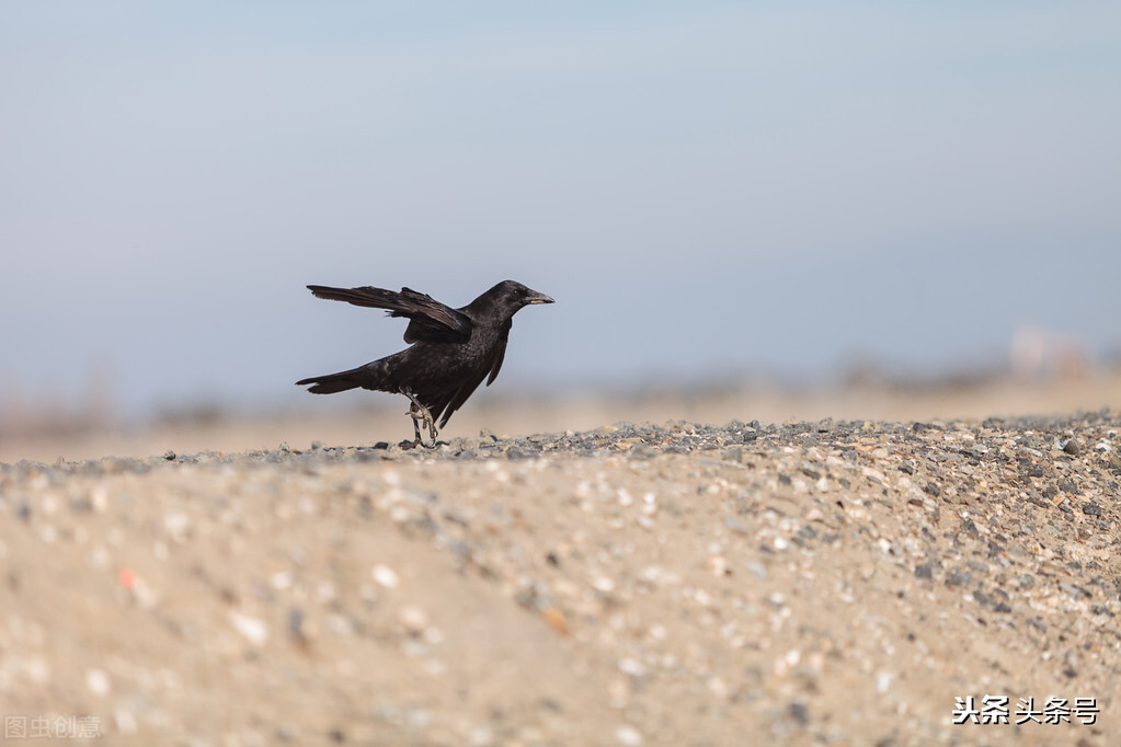辛苦一辈子的舅舅一路走好,致舅舅暖心句子