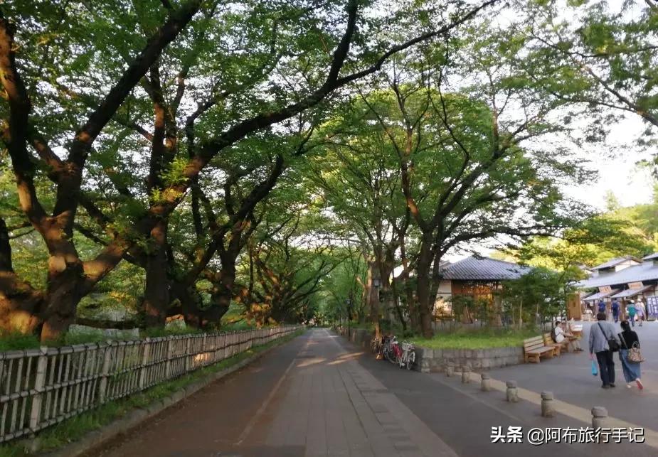 名古屋都有什么好吃的,名古屋有什么中国美食