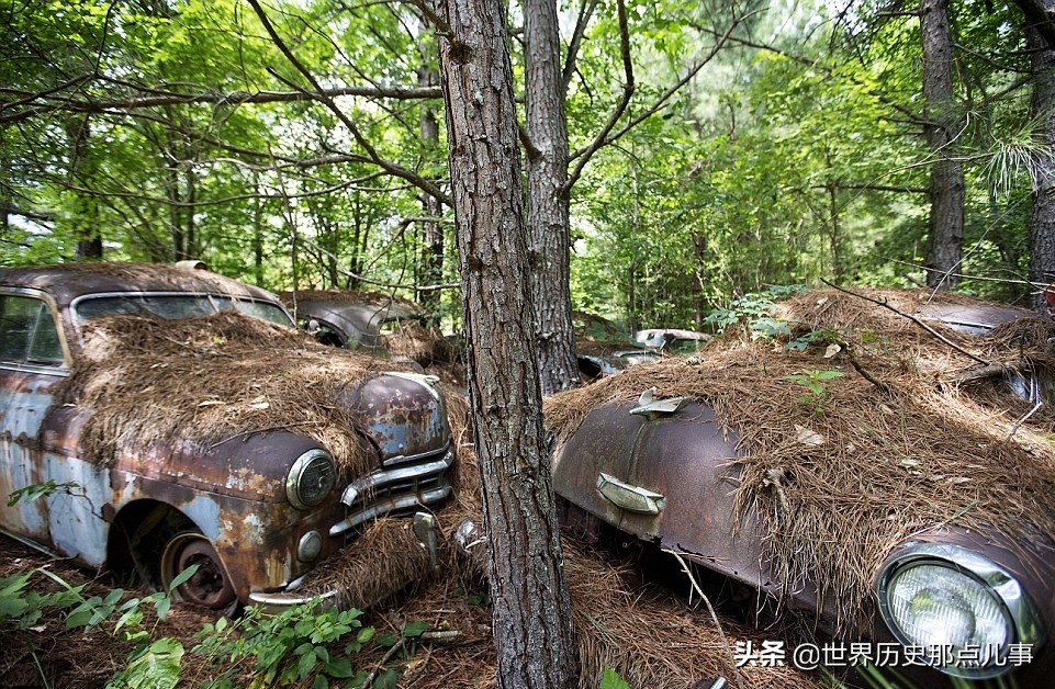 世界上最大汽车博物馆,全球最大的汽车博物馆