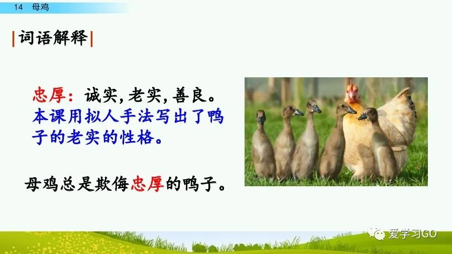 四年级下册语文母鸡课文重点讲解,四年级下册语文14课母鸡重点知识