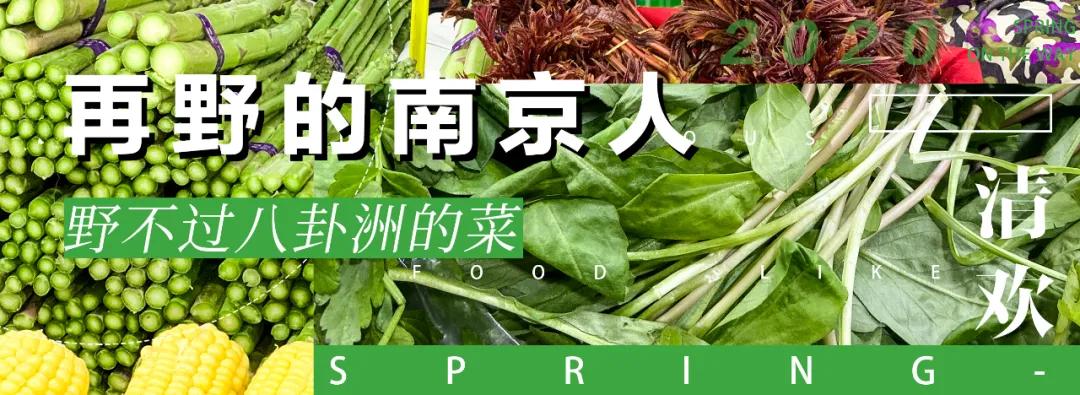 南京城市野菜猎人实录